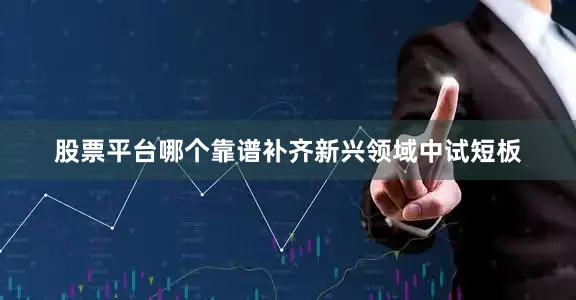 股票平台哪个靠谱补齐新兴领域中试短板