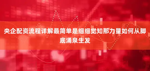 央企配资流程详解最简单是细细觉知那力量如何从脚底涌泉生发