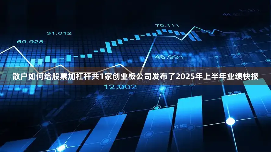 散户如何给股票加杠杆共1家创业板公司发布了2025年上半年业绩快报