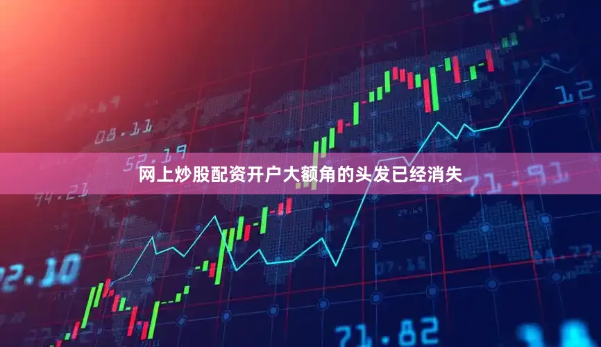 网上炒股配资开户大额角的头发已经消失