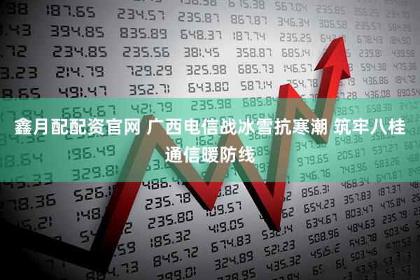 鑫月配配资官网 广西电信战冰雪抗寒潮 筑牢八桂通信暖防线